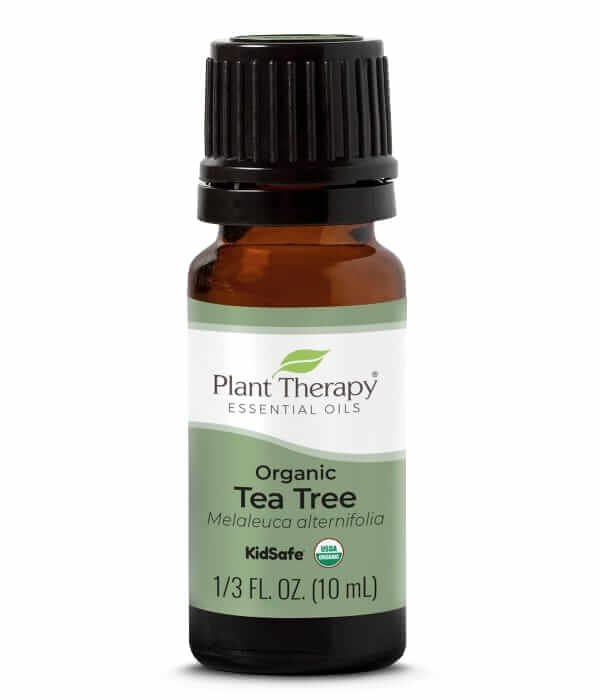 Plant Therapy Organic tea tree oil