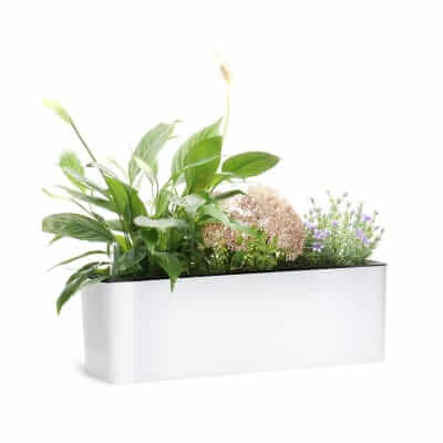 GardenBasix Self Watering Planter Box