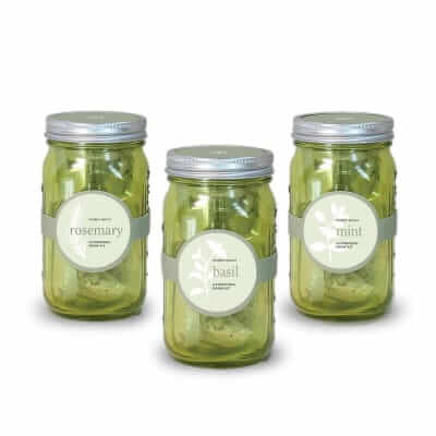 Modern Sprout Garden Jar Set