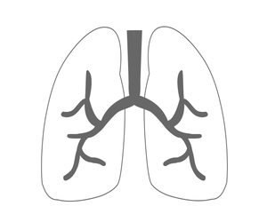 Optimize Your Breath