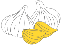 Roasted garlic illustration