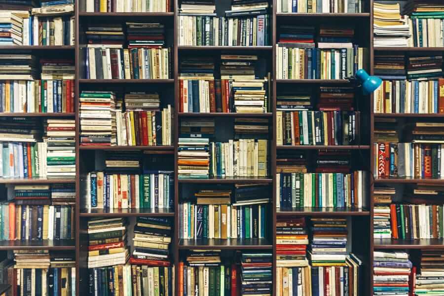 Bookshelf illustration