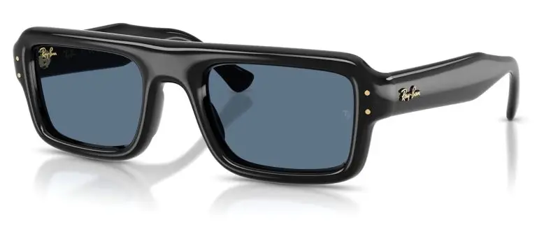 Ray-Ban Flacko Puffer Sunglasses Transparent Dark Brown Frame Brown Lenses 54-23