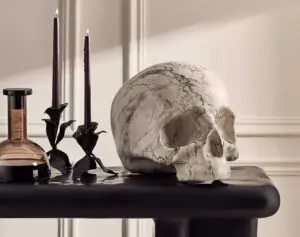 CB2 Marbled cement skull