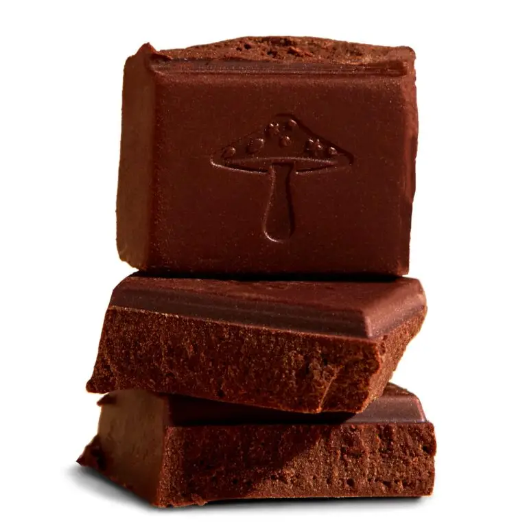 Mushroom chocolate