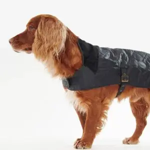Barbour Quilted dog coat
