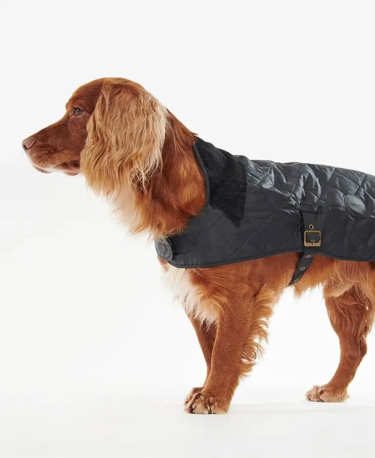 Barbour Quilted dog coat