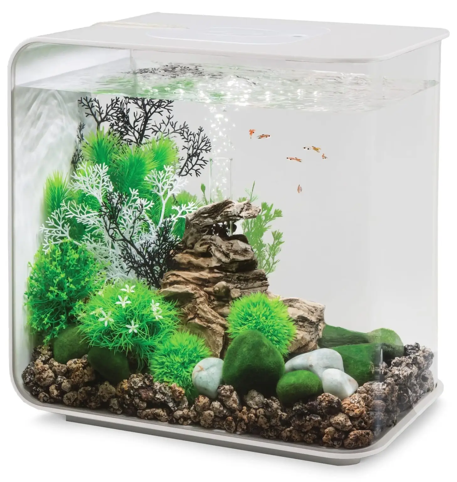 biOrb FLOW LED aquarium