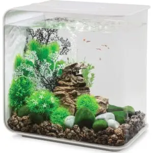 biOrb FLOW LED aquarium