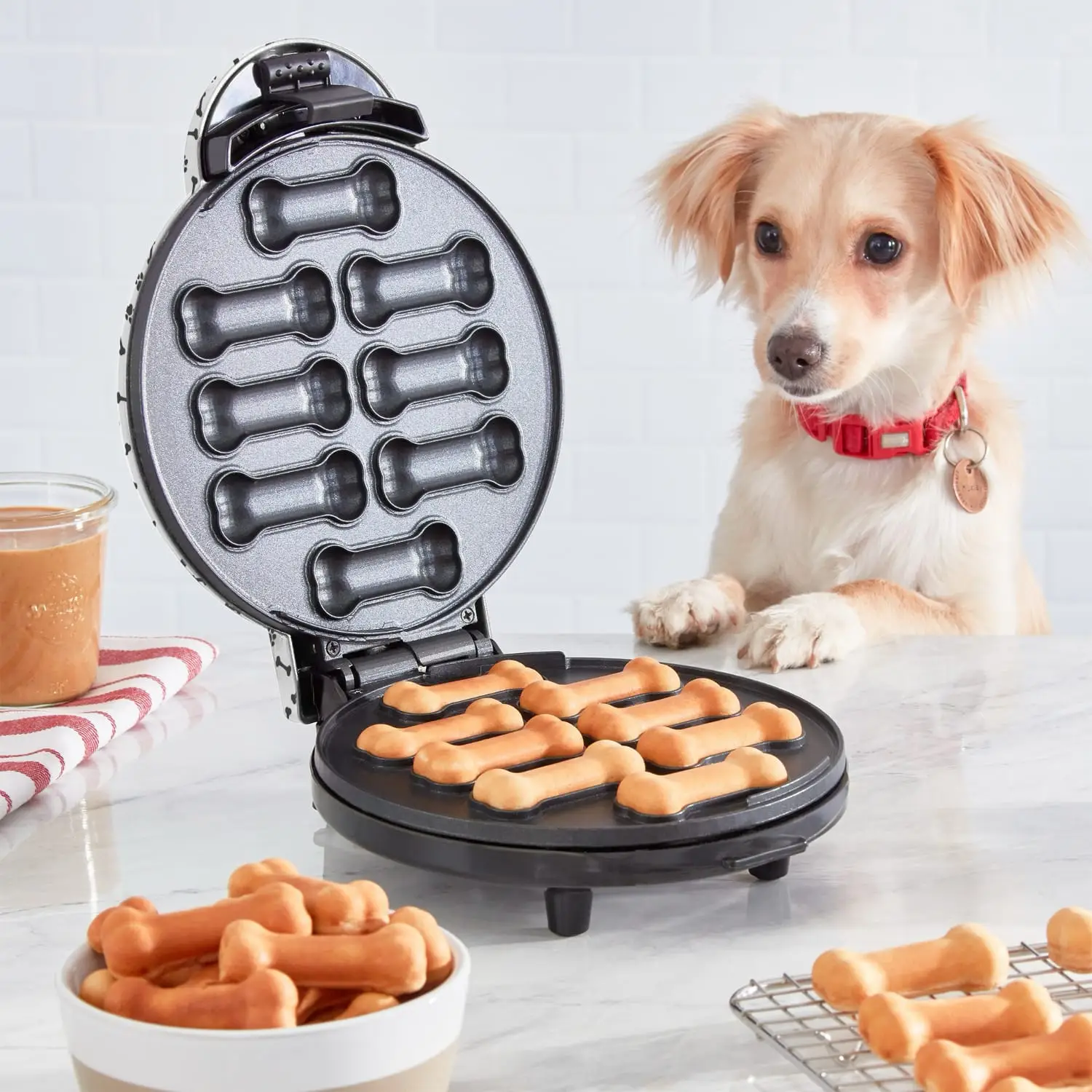 Dash Dog treat maker