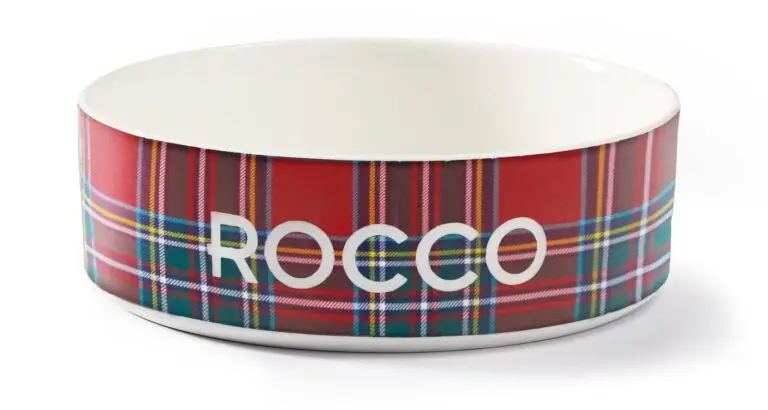 Custom dog bowl