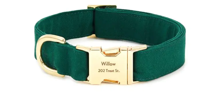 Custom dog collar