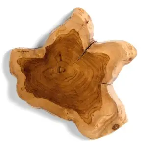 Williams Sonoma Teak wood serving board