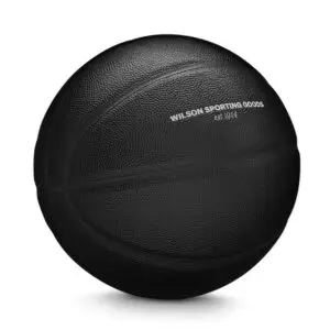 Wilson Gift of Game basketball