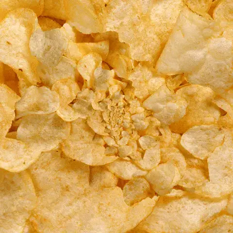 Potato chips