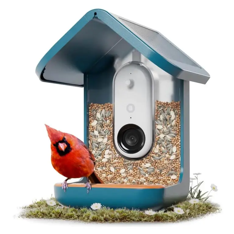 Birdbuddy PRO Solar smart bird feeder