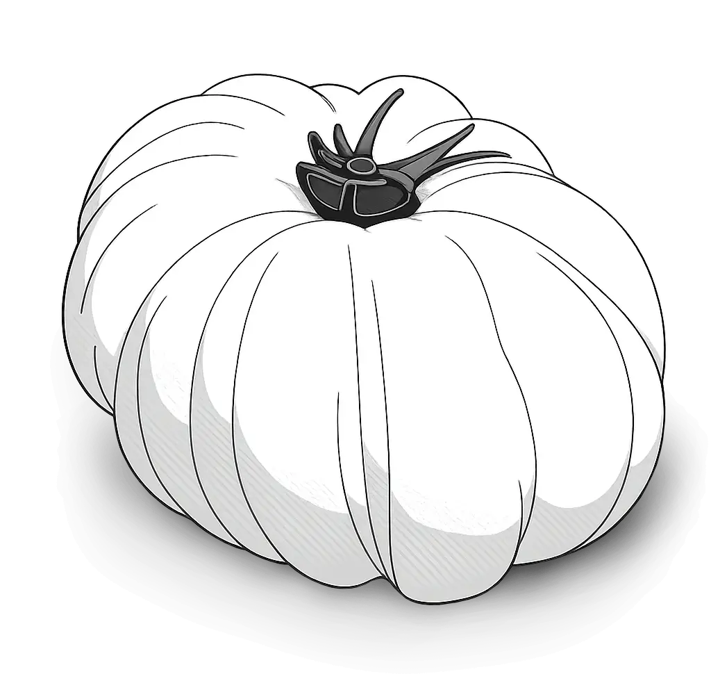 Heirloom tomato illustration