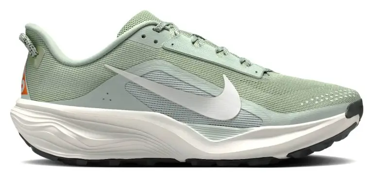 ACG Pegasus Trail sneaker