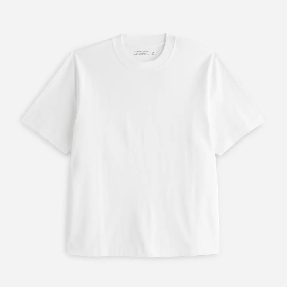 Abercrombie & Fitch Premium T-shirt