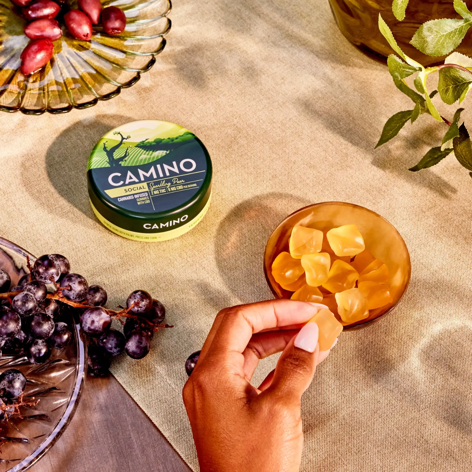 Kiva camino sparkling pear social gummies
