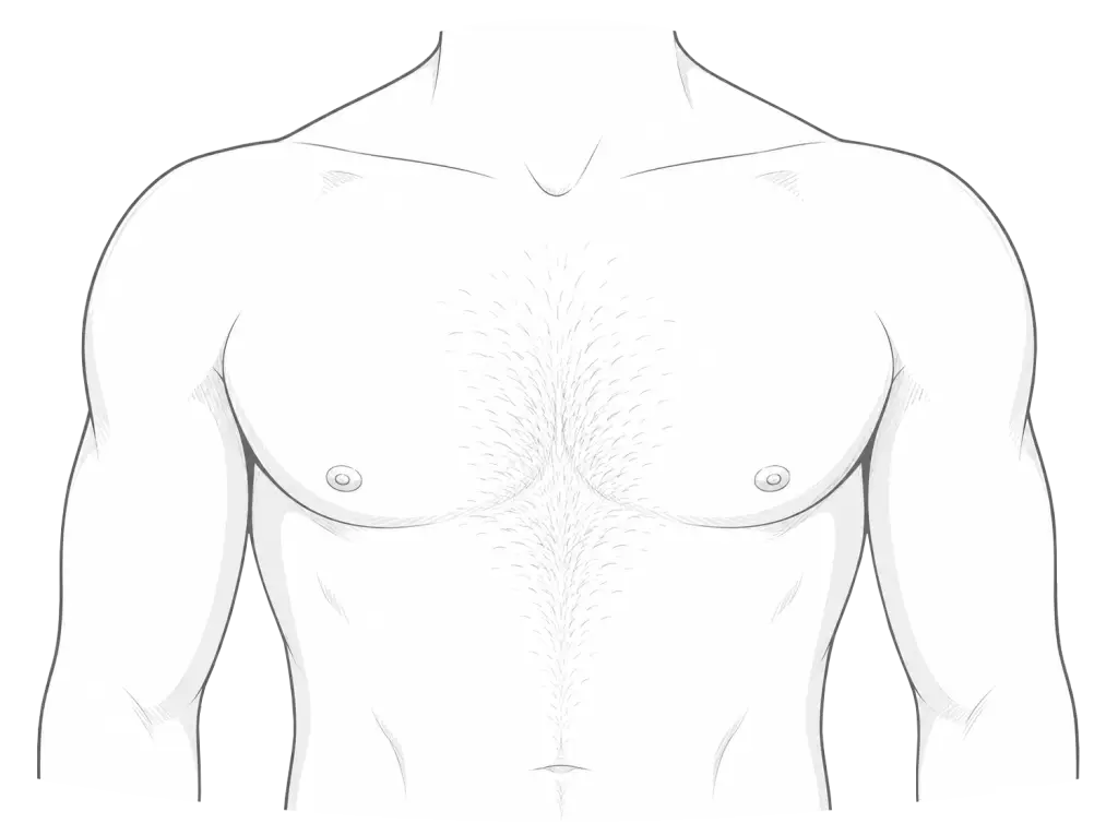 Man chest hair trimmed illustration