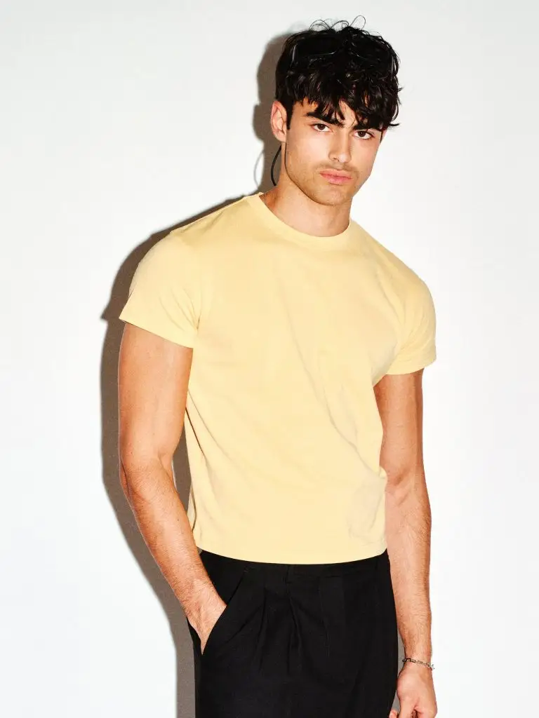 Frank cropped T-shirt