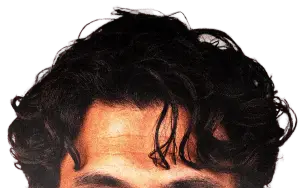 Why Does Every Famous Guy Have a Rogue Forehead Curl?