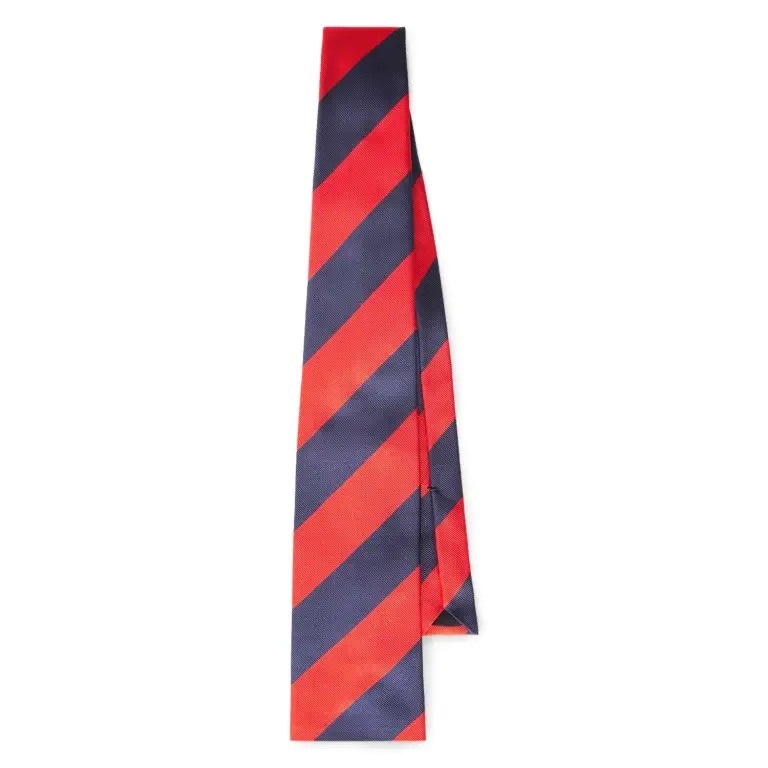 Celine Silk-twill tie