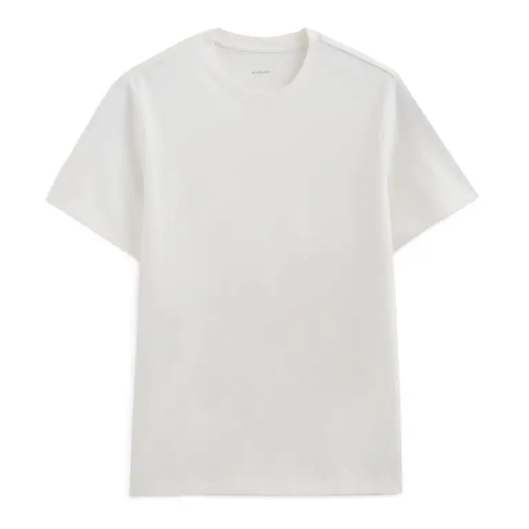 Everlane midweight tee 1